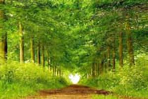 Life Path Alignment, is a process, which works on revealing your unique talents and purpose in life. Often because of eternal conditioning we adopt false purposes and disown our true gifts. Life Path Alignment addresses, one by one, all areas and aspects of your life which are out of balance and where the energy is blocked. Areas can be family, health, finances, emotional life, sexuality, social life, recreation, cultural development, career, close love relationships, relationships with friends, work colleagues, vocation in life, karmic destiny, and so on. During the process of Life Path Alignment, Kaz , will identify which qualities you will need to manifest in every area of your life, to be on purpose. All emotions, thought patterns and stories will be addressed, which block the flow of energy in each area of our life. At the end of the sessions you have with us, over the telephone, short and long terms goals will be individuated, as specific actions to be implemented